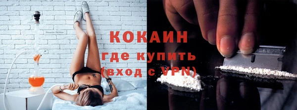 прущие грибы Верея