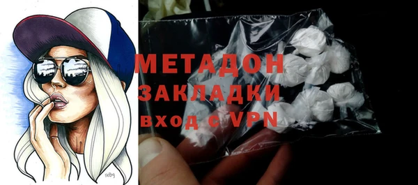 прущие грибы Верея