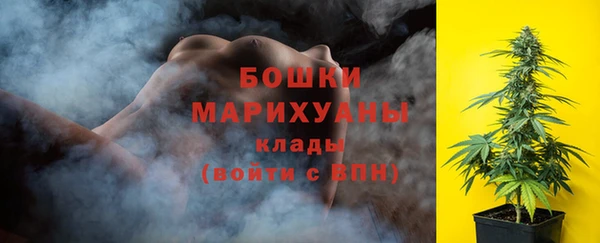 прущие грибы Верея