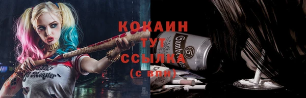 прущие грибы Верея