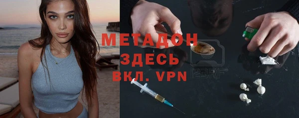 прущие грибы Верея