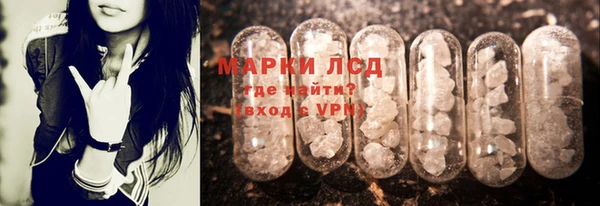 прущие грибы Верея