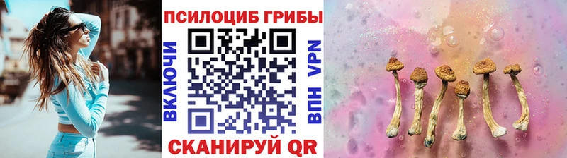 Галлюциногенные грибы прущие грибы  omg ссылка  Торопец 